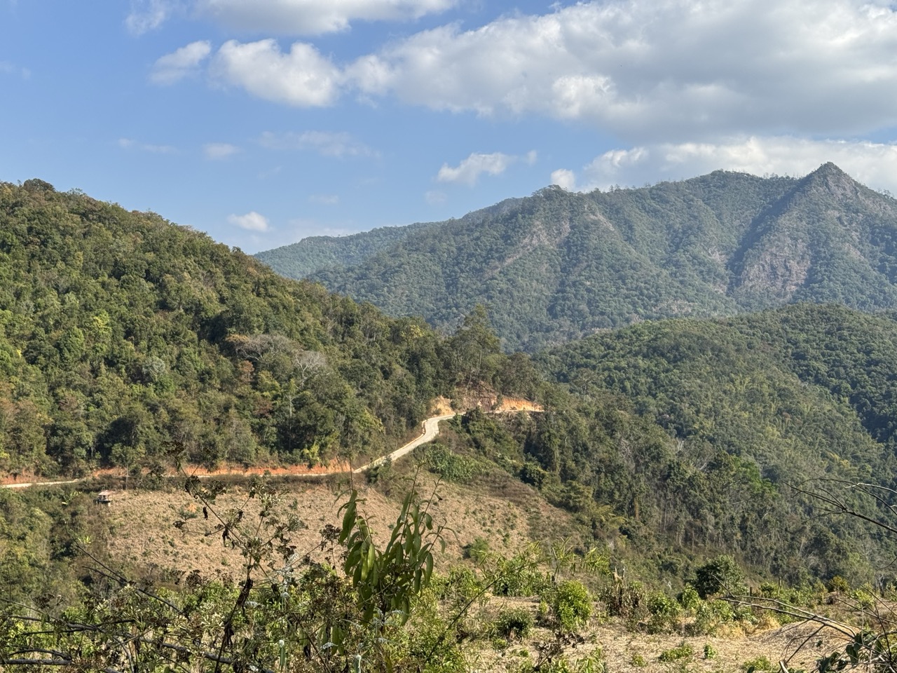 Mountain road in Northern Thailand — why riding here is worth getting your license right